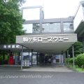 駒ヶ岳ロープウェーからの景色に絶句！【4歳子連れ箱根旅行その3】