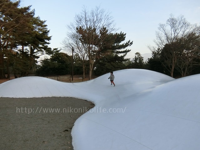 ひたち海浜公園ぴょんぴょんたまご