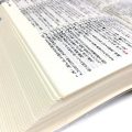 幼稚園児に国語辞典（辞書）を買うとしたらどれがいい？
